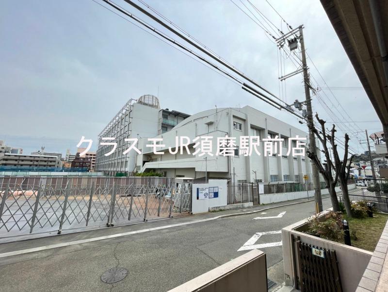 25/30 その他画像