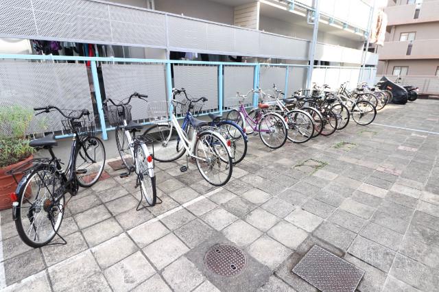 20/30 その他画像