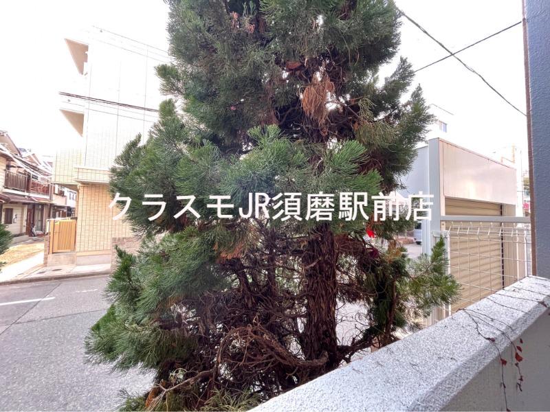 23/30 その他画像