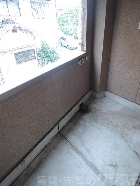 11/16 バルコニー