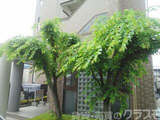 30/30 エントランス