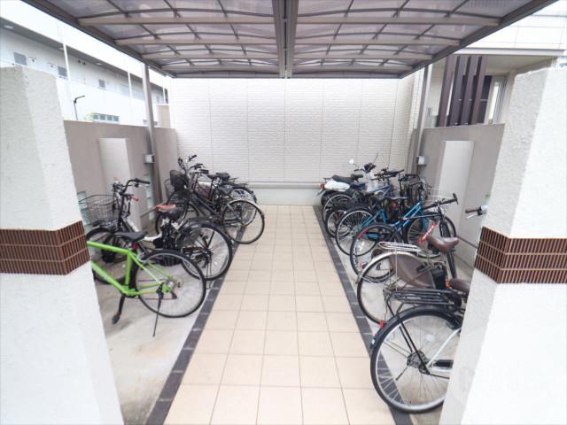 20/30 その他画像