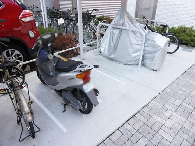 20/30 その他画像