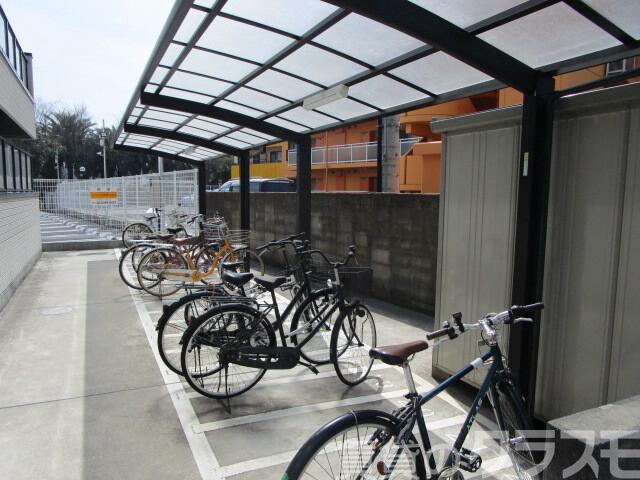 17/25 その他画像