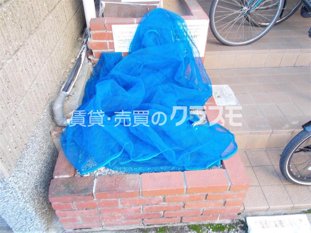 3/12 周辺