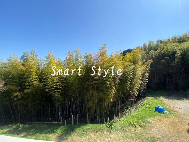 15/26 その他画像