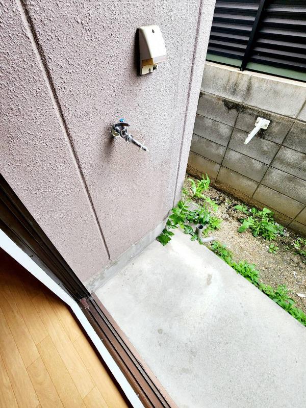 17/24 その他画像