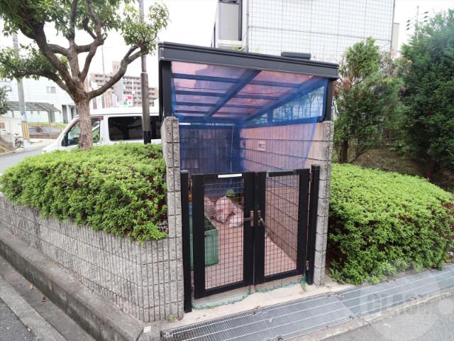 20/30 その他画像