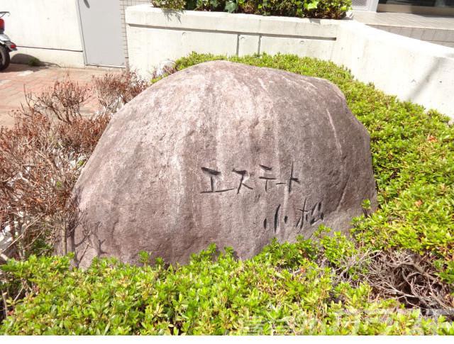 17/29 その他画像