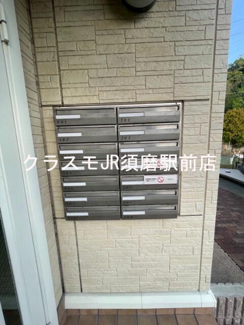 20/30 その他画像