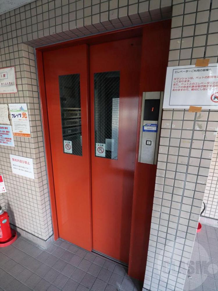 19/30 その他画像