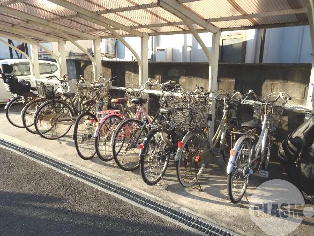 16/24 その他画像