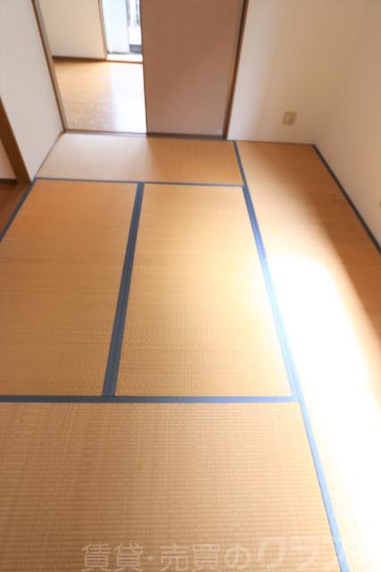 17/21 その他画像