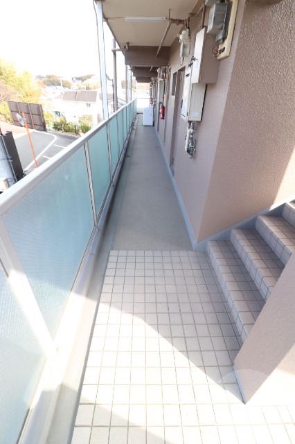 5/15 その他画像