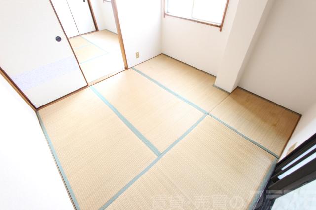 15/17 その他画像