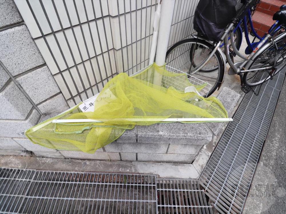 20/29 その他画像