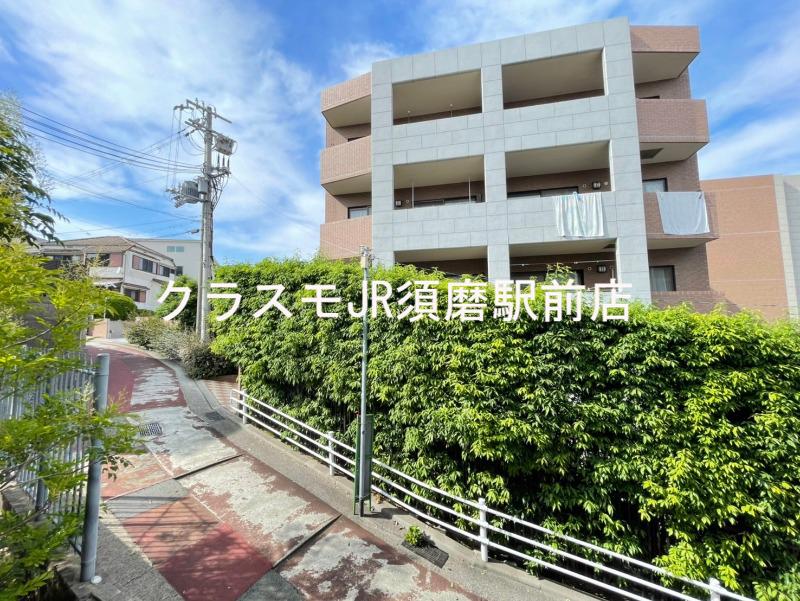 20/30 その他画像