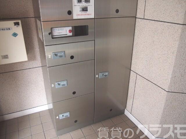 17/24 その他画像