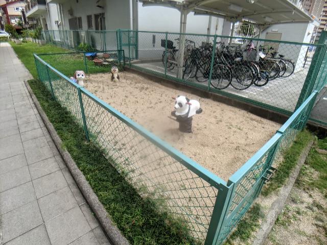 21/29 その他画像