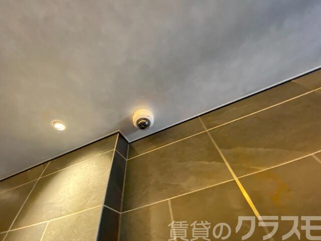 21/29 その他画像