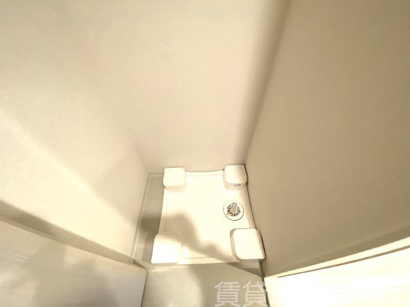 15/21 その他画像