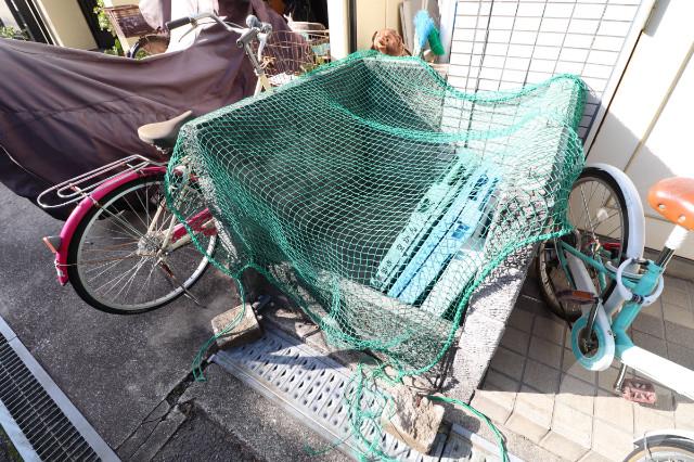 20/30 その他画像