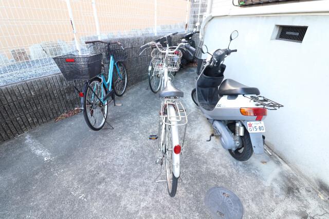 5/15 その他画像