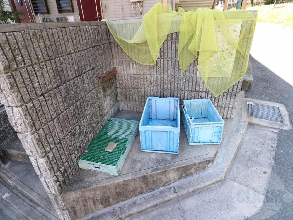 5/15 その他画像