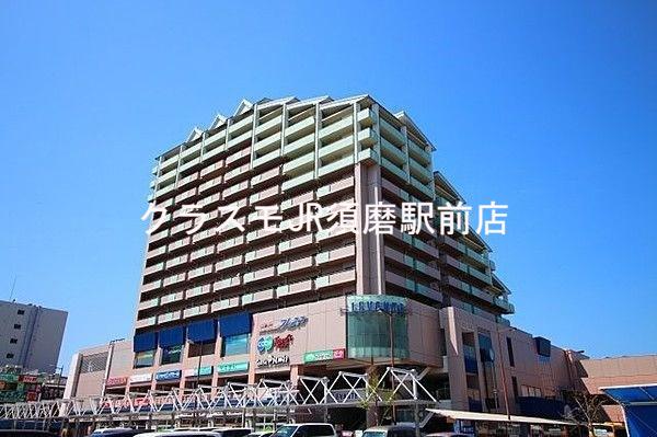 11/20 周辺
