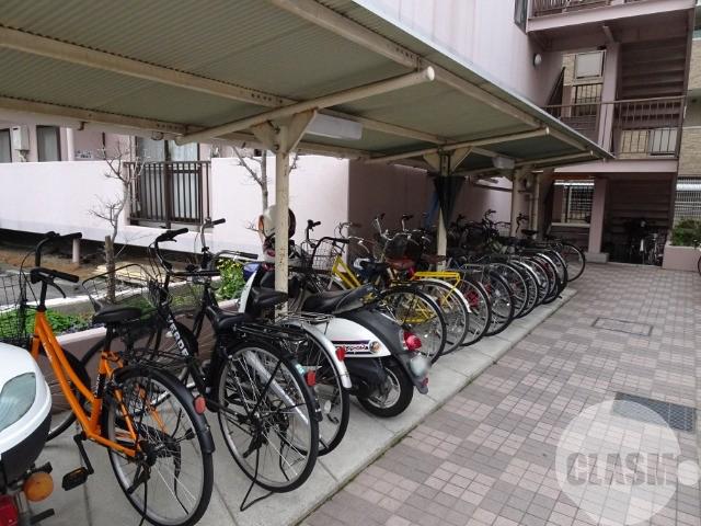 20/30 その他画像