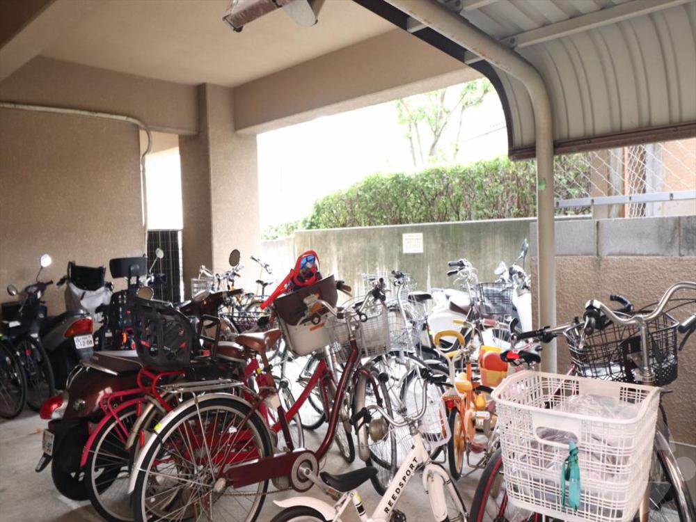 20/30 その他画像