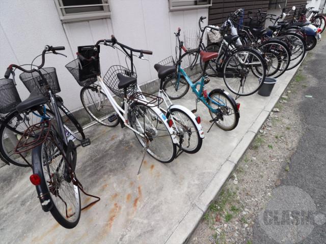 20/30 その他画像