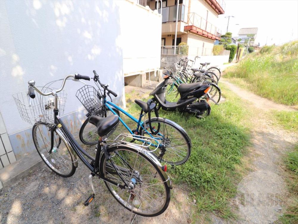 20/30 その他画像