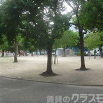 4/6 周辺
