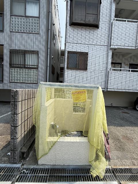 20/30 その他画像