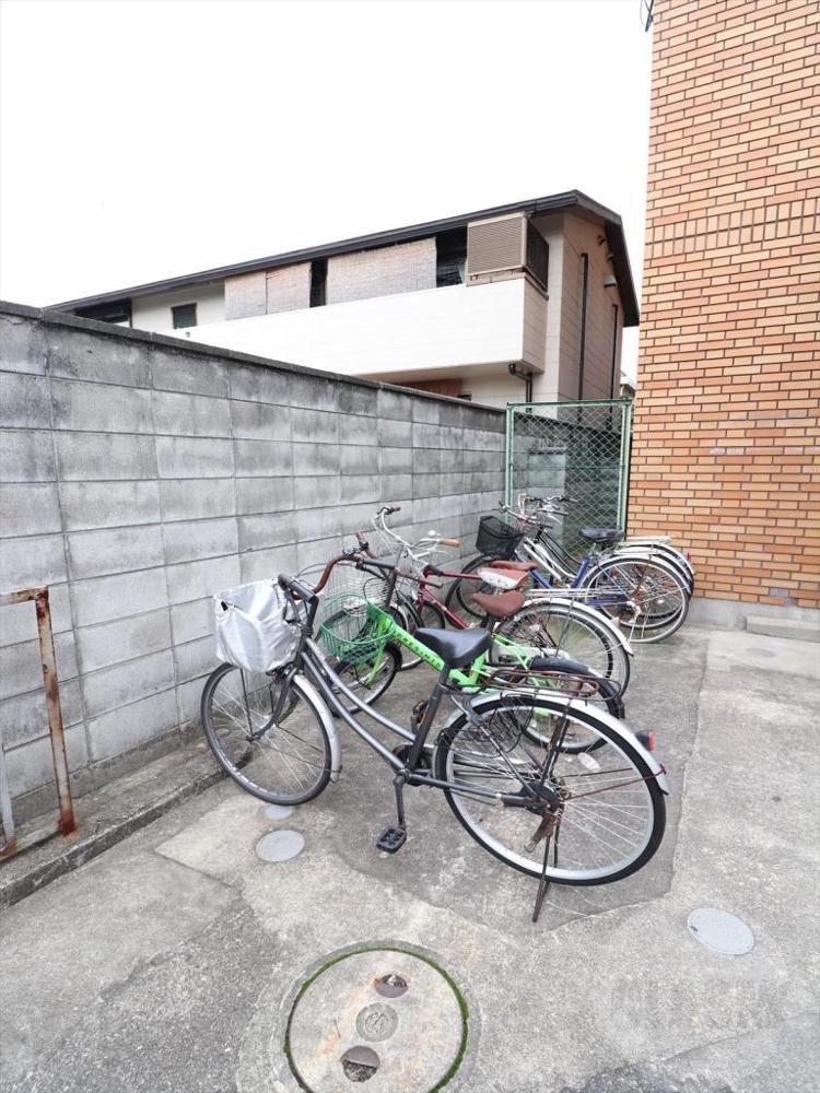 20/30 その他画像