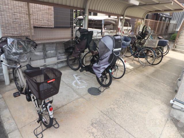 20/30 その他画像