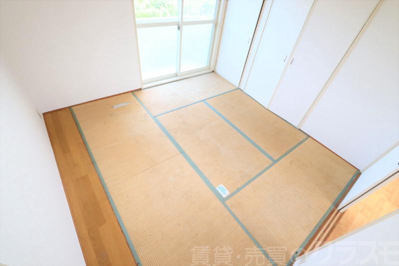 13/16 その他画像