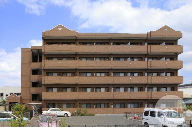 13/19 その他画像