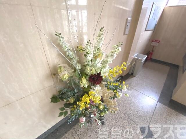 24/29 その他画像