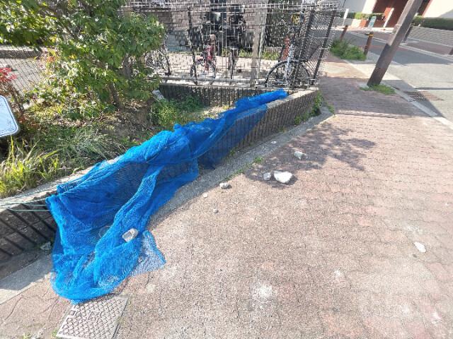 15/30 その他画像