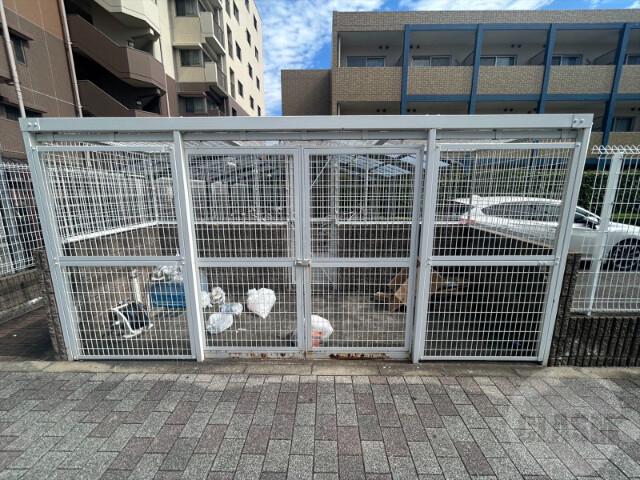 20/30 その他画像