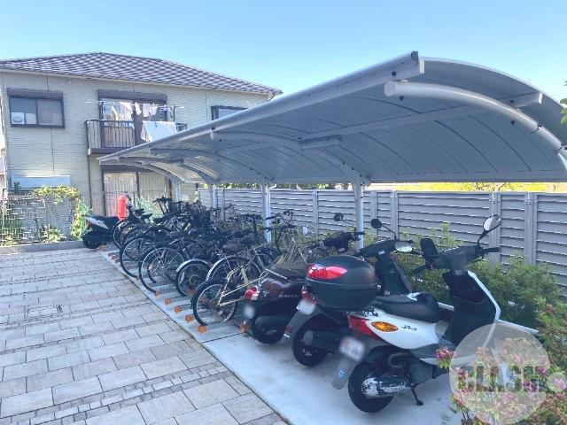 20/30 その他画像