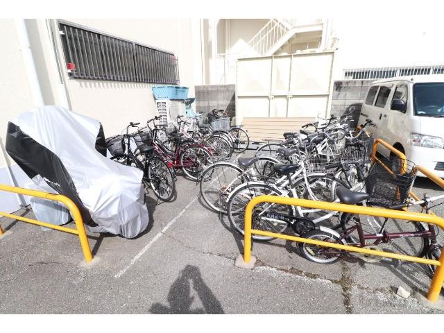 20/30 その他画像