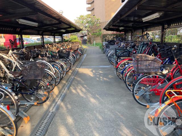 5/11 その他画像