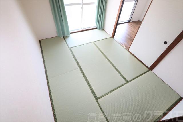 14/16 その他画像