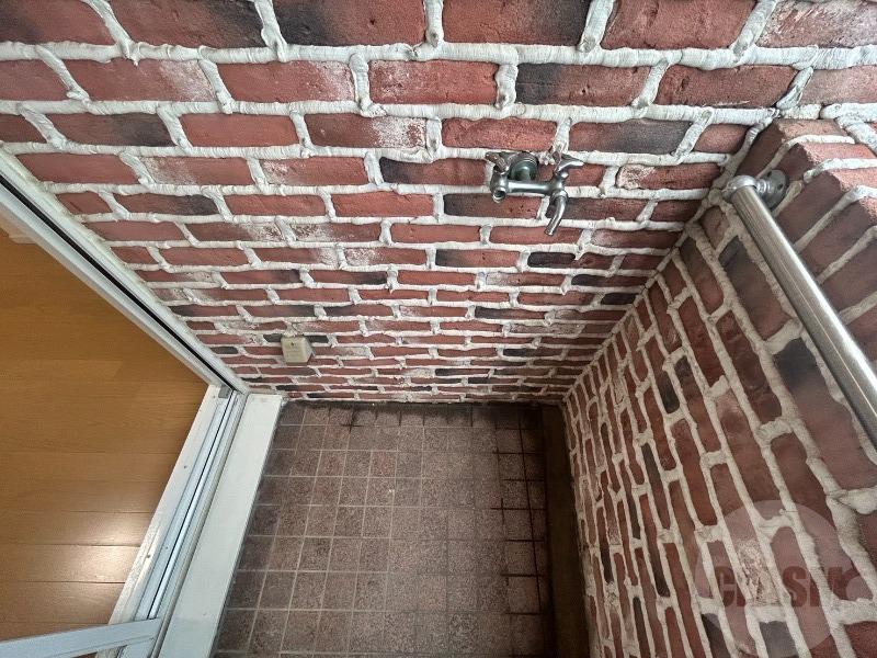 17/25 その他画像