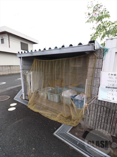 20/30 その他画像