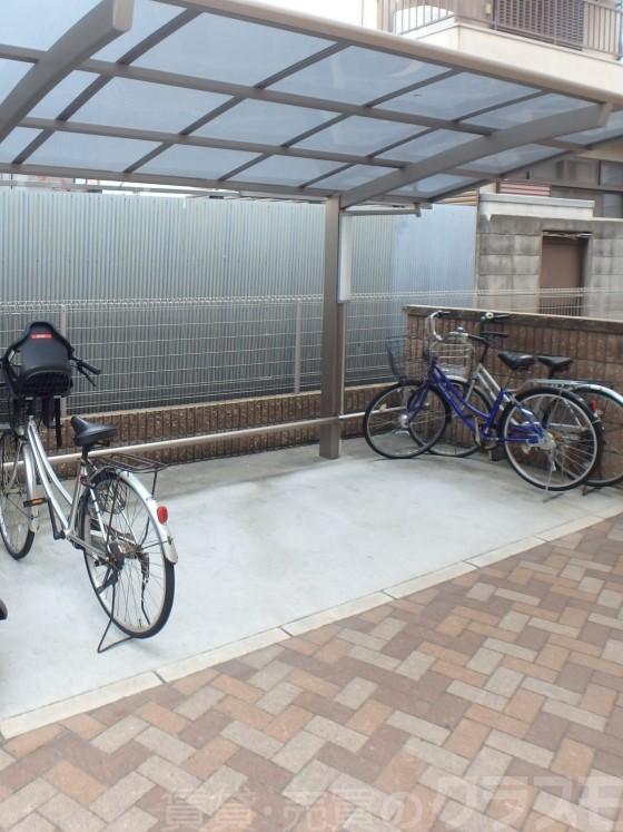 11/23 その他画像