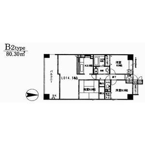 東奈良の完工年月(2004年3月)築の賃貸マンションの間取り